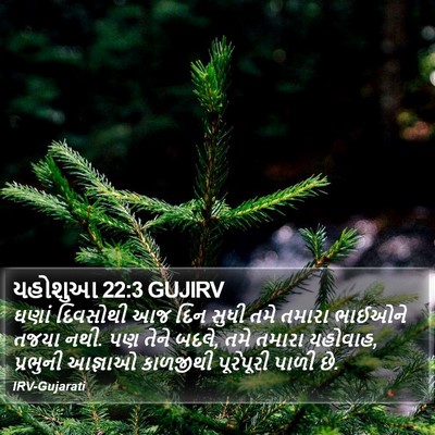 યહોશુઆ 22:3 GUJIRV Bible Verse Image