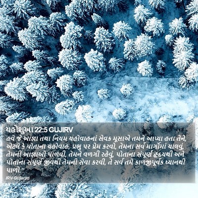 યહોશુઆ 22:5 GUJIRV Bible Verse Image