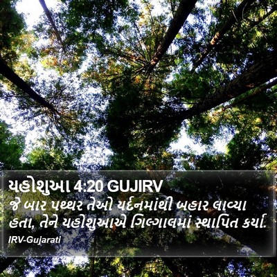 યહોશુઆ 4:20 GUJIRV Bible Verse Image