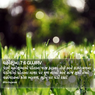 યહોશુઆ 7:6 GUJIRV Bible Verse Image
