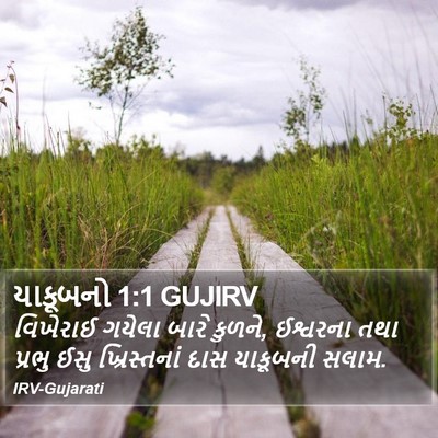 યાકૂબનો 1:1 GUJIRV Bible Verse Image