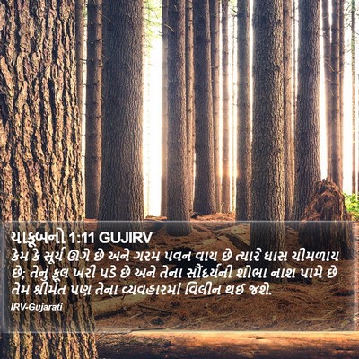યાકૂબનો 1:11 GUJIRV Bible Verse Image