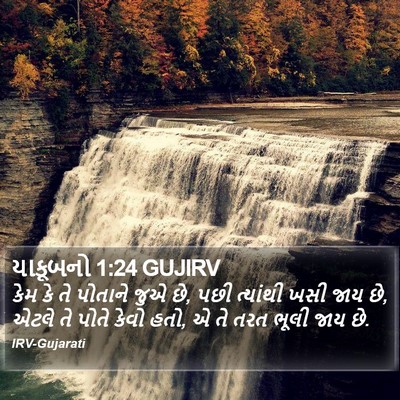 યાકૂબનો 1:24 GUJIRV Bible Verse Image