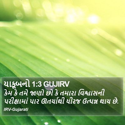 યાકૂબનો 1:3 GUJIRV Bible Verse Image