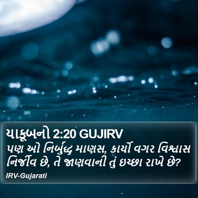 યાકૂબનો 2:20 GUJIRV Bible Verse Image