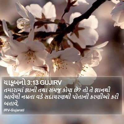 યાકૂબનો 3:13 GUJIRV Bible Verse Image