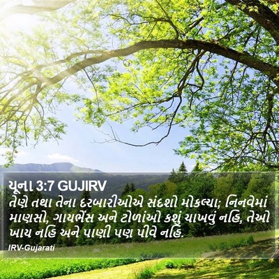 યૂના 3:7 GUJIRV Bible Verse Image