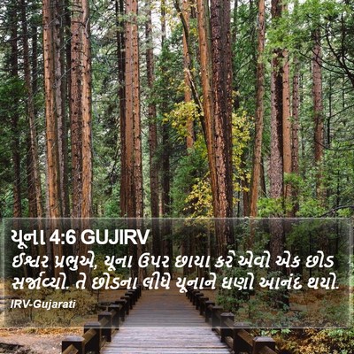 યૂના 4:6 GUJIRV Bible Verse Image
