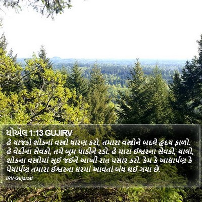 યોએલ 1:13 GUJIRV Bible Verse Image