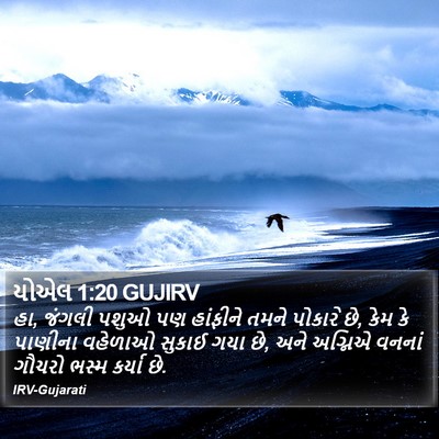 યોએલ 1:20 GUJIRV Bible Verse Image