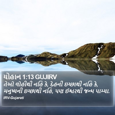 યોહાન 1:13 GUJIRV Bible Verse Image
