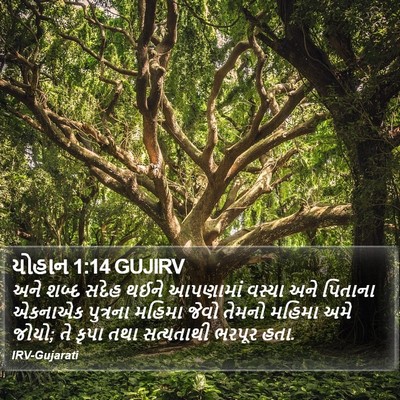 યોહાન 1:14 GUJIRV Bible Verse Image