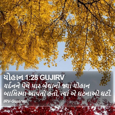 યોહાન 1:28 GUJIRV Bible Verse Image