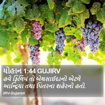 યોહાન 1:44 GUJIRV Bible Verse Image
