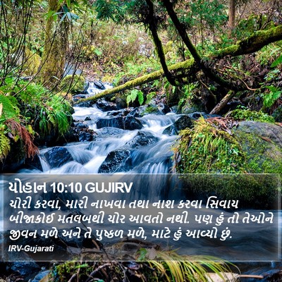 યોહાન 10:10 GUJIRV Bible Verse Image