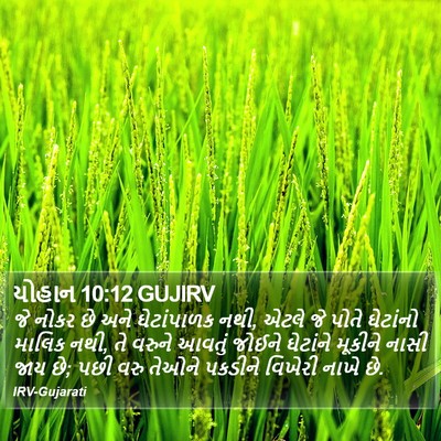 યોહાન 10:12 GUJIRV Bible Verse Image