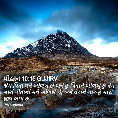 યોહાન 10:15 GUJIRV Bible Verse Image