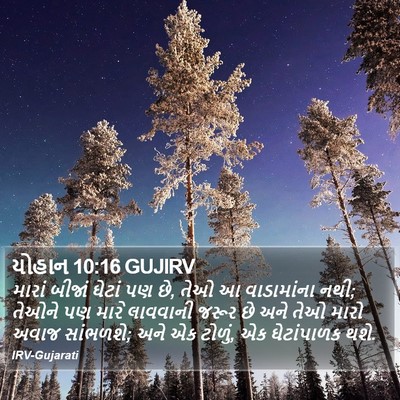 યોહાન 10:16 GUJIRV Bible Verse Image