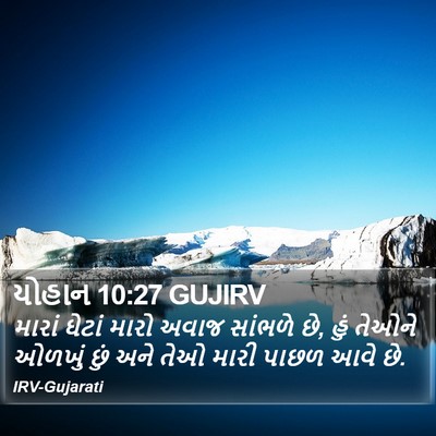 યોહાન 10:27 GUJIRV Bible Verse Image