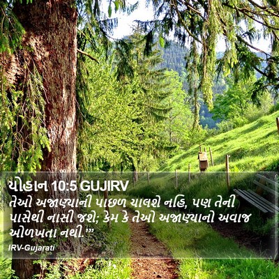 યોહાન 10:5 GUJIRV Bible Verse Image