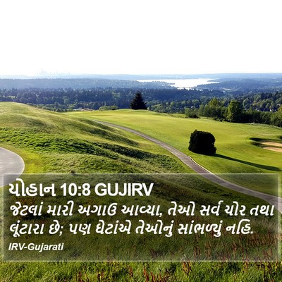 યોહાન 10:8 GUJIRV Bible Verse Image