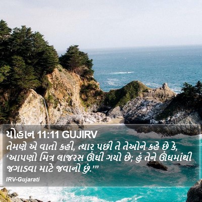 યોહાન 11:11 GUJIRV Bible Verse Image