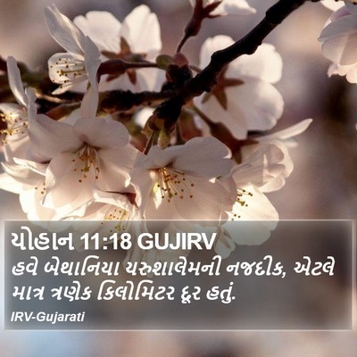 યોહાન 11:18 GUJIRV Bible Verse Image