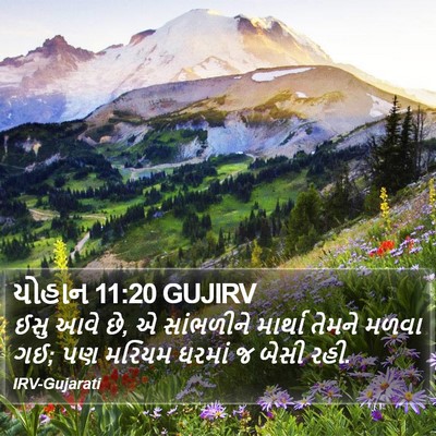 યોહાન 11:20 GUJIRV Bible Verse Image