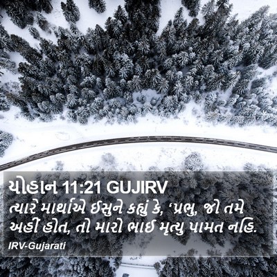 યોહાન 11:21 GUJIRV Bible Verse Image