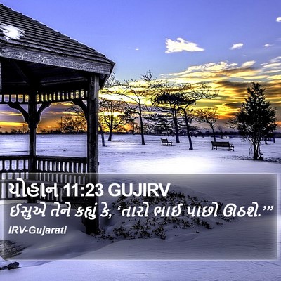 યોહાન 11:23 GUJIRV Bible Verse Image