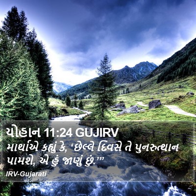 યોહાન 11:24 GUJIRV Bible Verse Image