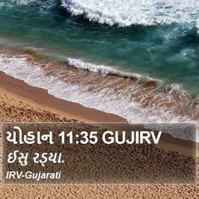 યોહાન 11:35 GUJIRV Bible Verse Image