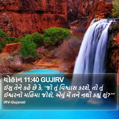 યોહાન 11:40 GUJIRV Bible Verse Image