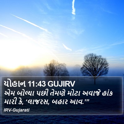 યોહાન 11:43 GUJIRV Bible Verse Image