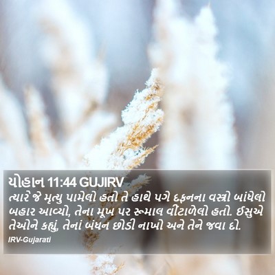 યોહાન 11:44 GUJIRV Bible Verse Image