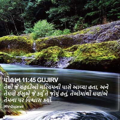 યોહાન 11:45 GUJIRV Bible Verse Image