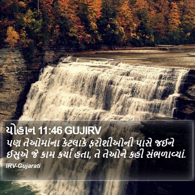 યોહાન 11:46 GUJIRV Bible Verse Image