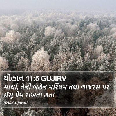 યોહાન 11:5 GUJIRV Bible Verse Image
