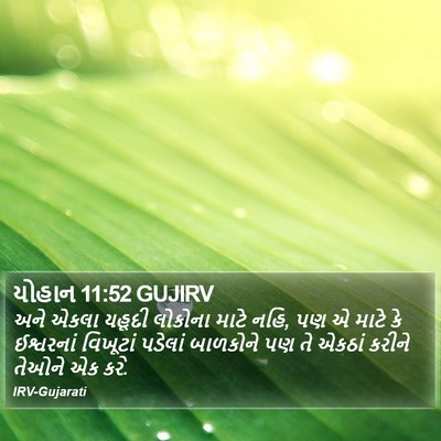 યોહાન 11:52 GUJIRV Bible Verse Image