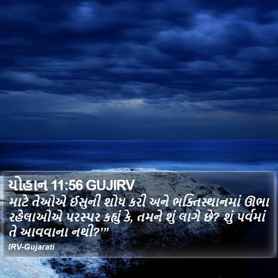 યોહાન 11:56 GUJIRV Bible Verse Image
