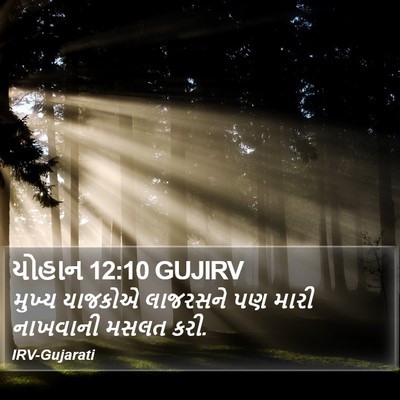 યોહાન 12:10 GUJIRV Bible Verse Image