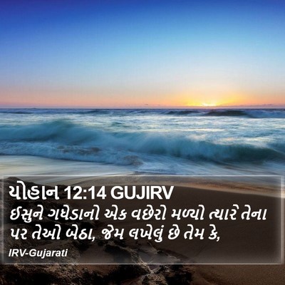 યોહાન 12:14 GUJIRV Bible Verse Image