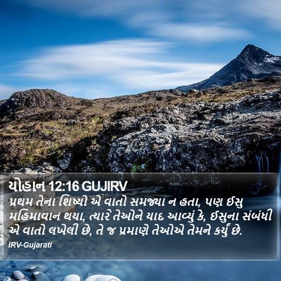 યોહાન 12:16 GUJIRV Bible Verse Image