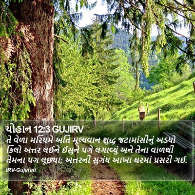 યોહાન 12:3 GUJIRV Bible Verse Image