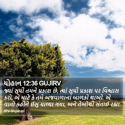 યોહાન 12:36 GUJIRV Bible Verse Image