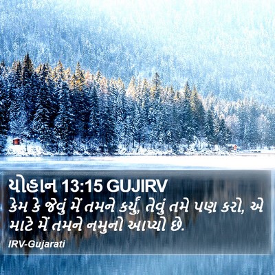 યોહાન 13:15 GUJIRV Bible Verse Image