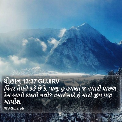યોહાન 13:37 GUJIRV Bible Verse Image