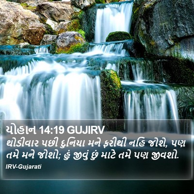 યોહાન 14:19 GUJIRV Bible Verse Image