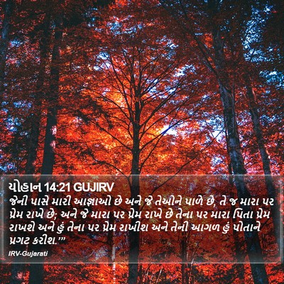 યોહાન 14:21 GUJIRV Bible Verse Image
