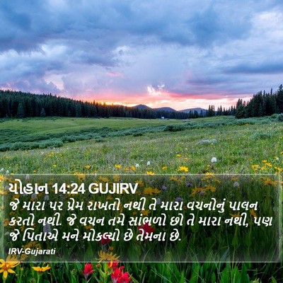 યોહાન 14:24 GUJIRV Bible Verse Image